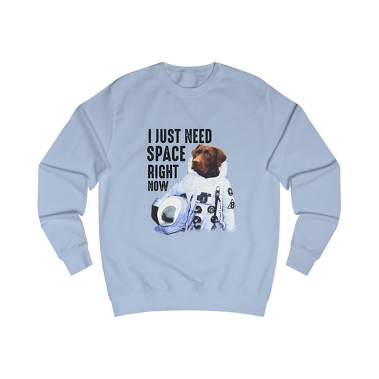 For All My Dogs Sweatshirt